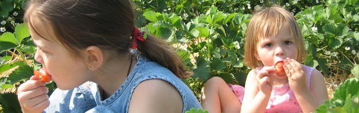 02_kinder_erdbeeren.jpg
